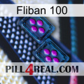 Fliban 100 03